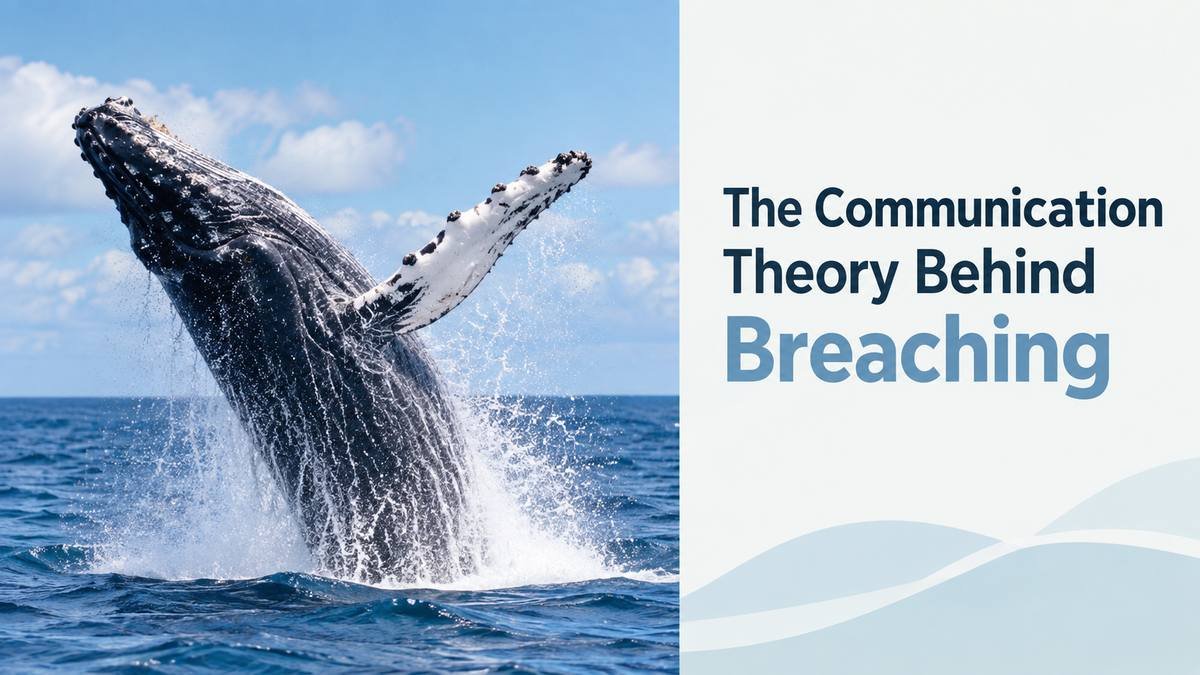 Humpback whale breaching during underwater communication