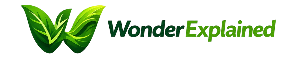 wonderexplained